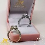 Veoma interesantan verenički prsten